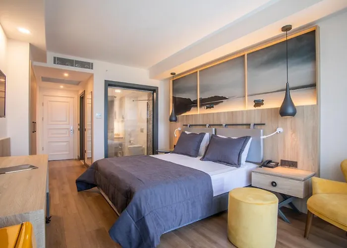 Maia Luxury &